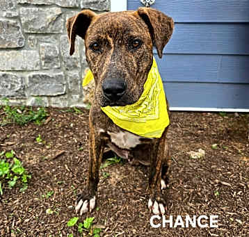 Photo of Chance