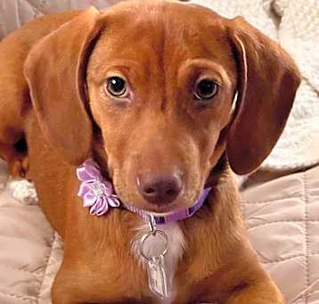 Photo of Greta 