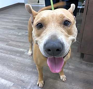 Photo of MEG
