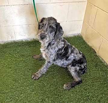 Photo of A1231391
