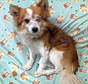 Photo of SHILOH