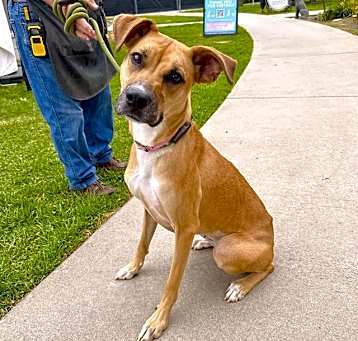 Photo of NALA