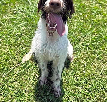 Photo of Gus