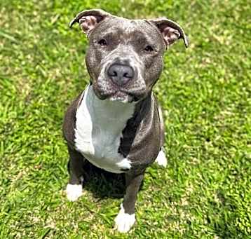 Photo of Aggie