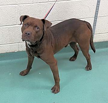 Photo of Jaxby