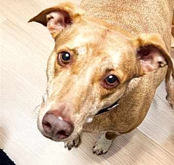 Photo of DAVINCI