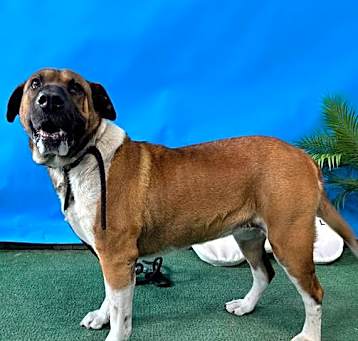 Photo of BETTY