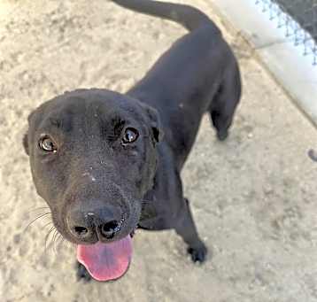 Photo of MATILDA