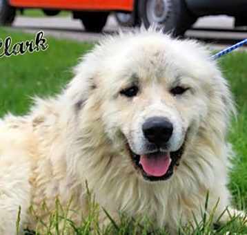 Photo of Clark