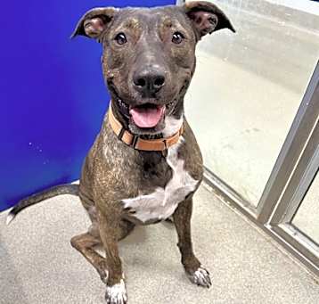 Photo of Athena