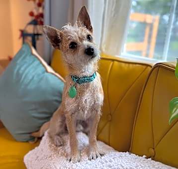 Photo of Kiwi