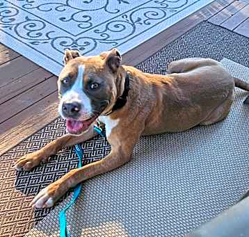 Photo of Averie