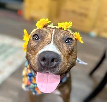 Photo of Mama Sadie