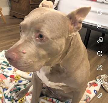 Photo of ELLA