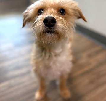Photo of Bevel