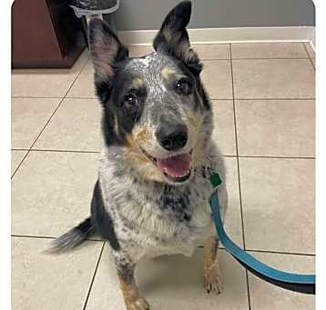 Photo of JAX
