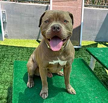 Photo of THOR