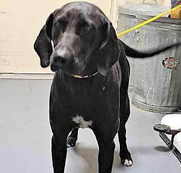 Photo of 25-05-1363 Edie
