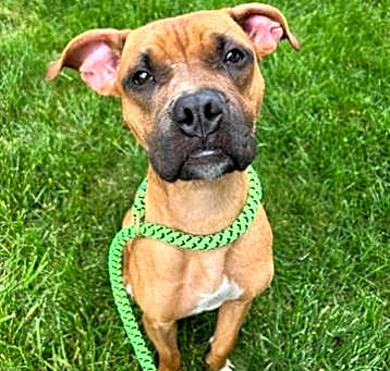 Photo of *RAMONA*
