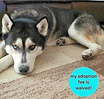 Photo of MAX