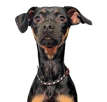Photo of Baddie