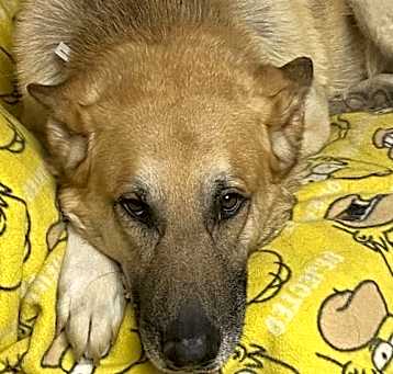 Photo of Major