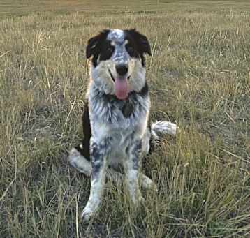 Photo of Cooper