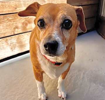 Photo of JACK
