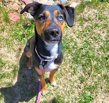 Photo of Nova