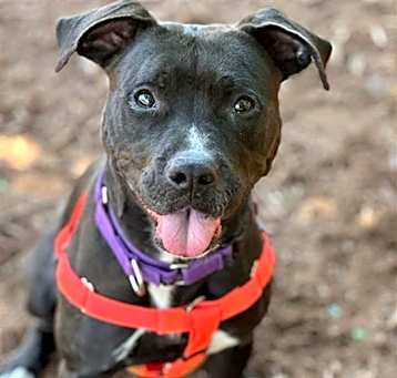 Photo of LUNA