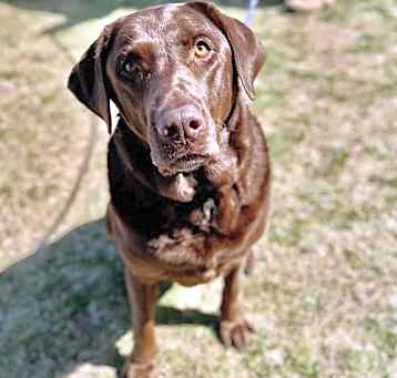 Photo of CoCo