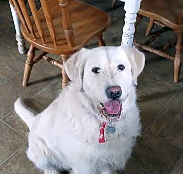 Photo of Rookie