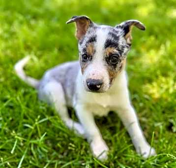 Photo of Oakley