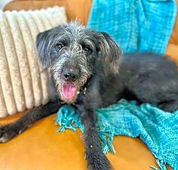 Photo of Amelia Bedelia The Kid-loving Cutie