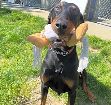 Photo of Max