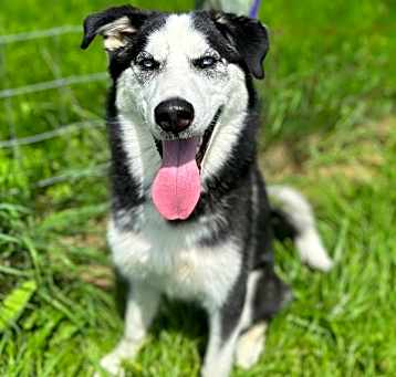Photo of Luna