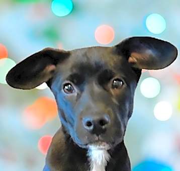 Photo of Derby