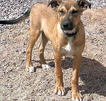 Photo of Coco
