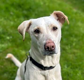 Photo of Duchess