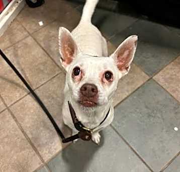 Photo of Toph