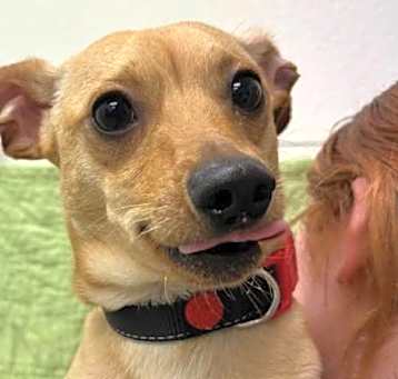 Photo of Milo