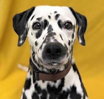 Photo of Jess