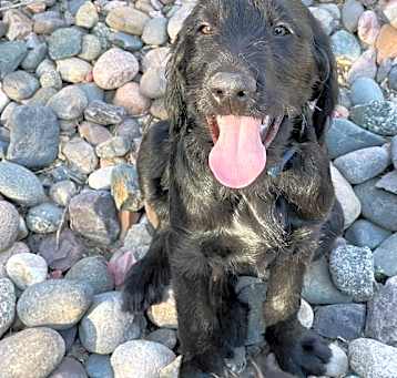 Photo of Bruce