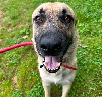 Photo of LJ (FOSTERED IN MARYLAND)