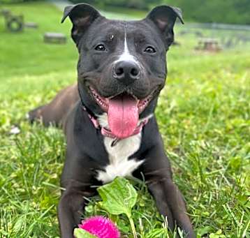 Photo of Rogue