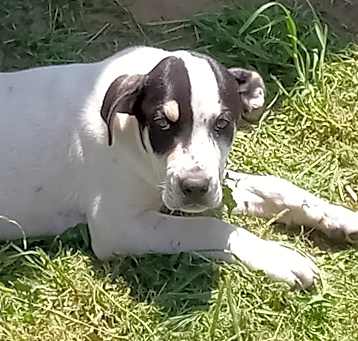Photo of Max