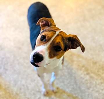 Photo of Olaf
