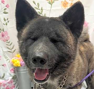 Photo of Chase