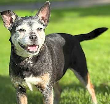 Photo of Daisy
