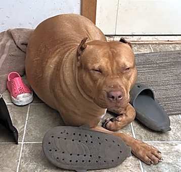 Photo of Rosie